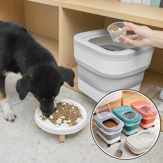 Boite à croquettes chien | Fraîcheur Garantie - Miss Doggies