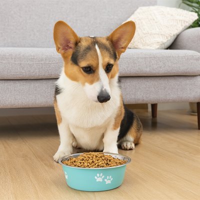 Gamelle Chien | Design Élégant - Miss Doggies