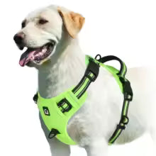 Harnais chien | Comfort Secure