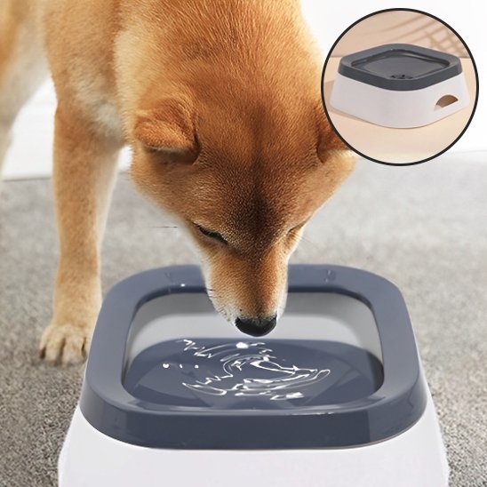 Bol d'eau anti - éclaboussures pour chiens, - Miss Doggies