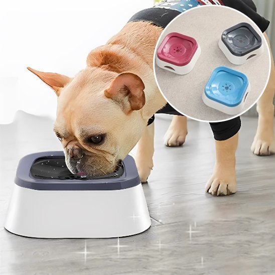 Bol d'eau anti - éclaboussures pour chiens, - Miss Doggies