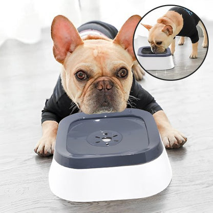 Bol d'eau anti - éclaboussures pour chiens, - Miss Doggies