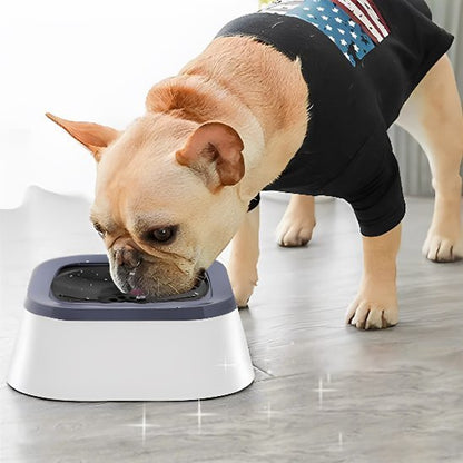 Bol d'eau anti - éclaboussures pour chiens, - Miss Doggies