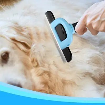 Brosse chien - DOGCombBrush™ - Bleu - Miss Doggies