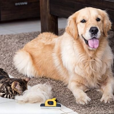 Brosse chien - DOGCombBrush™ - Jaune - Miss Doggies