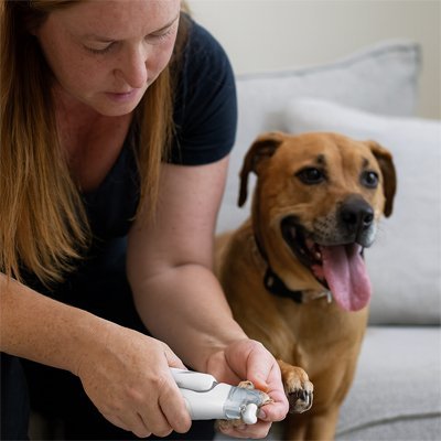 Coupe griffe Chien | SécuriCut - Miss Doggies