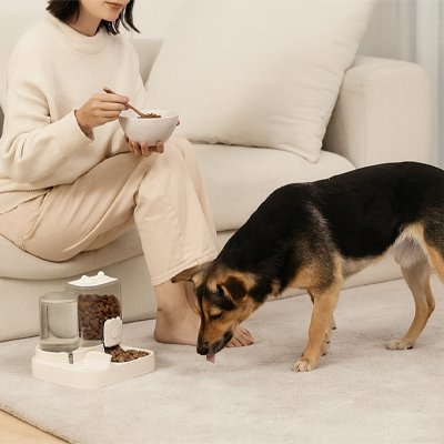 Distributeur croquette Chien | AutoMeal - Miss Doggies