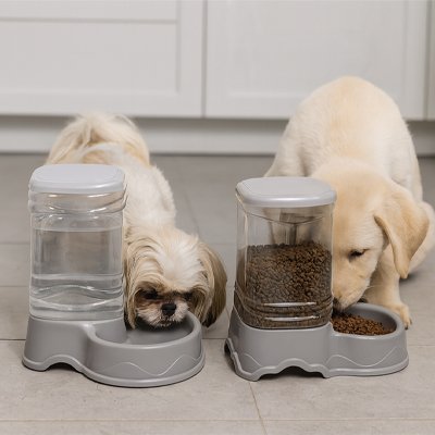 Distributeur croquette Chien | PratiDesign - Miss Doggies