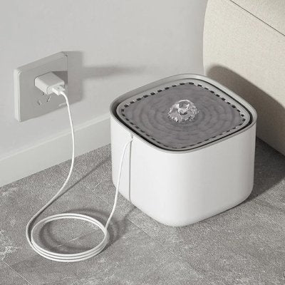 Fontaine a eau Chien | SilentFlow - Miss Doggies