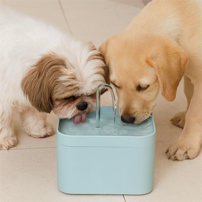 Fontaine a eau Chien | UltraSilence - Miss Doggies