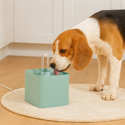Fontaine a eau Chien | UltraSilence - Miss Doggies