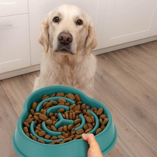 Gamelle anti glouton chien | SlowFeeder - Miss Doggies