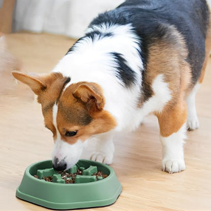 Gamelle anti glouton chien | SlowFeeder - Miss Doggies