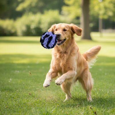 Jouet Chien | Indestructible Anti - Anxiété - Miss Doggies