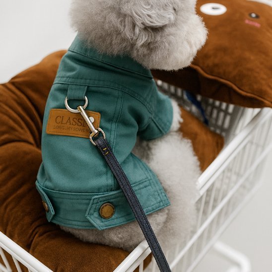 Manteau chien | Élégant Imperméable - Miss Doggies