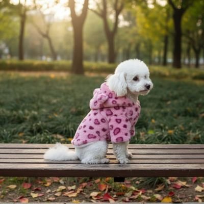 Manteau Chien | ImperConfort - Miss Doggies