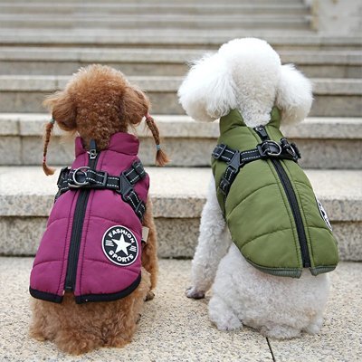 Manteau Chien | Imperméable Élégant - Miss Doggies