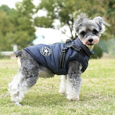 Manteau Chien | Imperméable Élégant - Miss Doggies