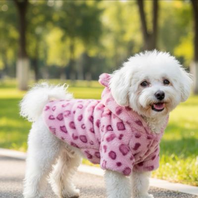 Manteau pour Chien | WinterPro - Miss Doggies