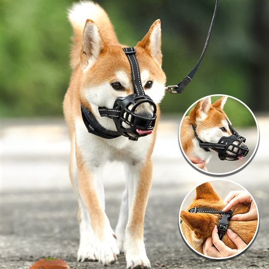 Muselière | Confort Secure - Miss Doggies