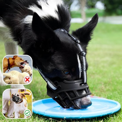 Muselière | Confort Secure - Miss Doggies