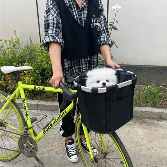 Panier vélo chien | Sécuricomfort - Miss Doggies