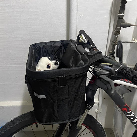 Panier velo chien | Transport Sécurisé - Miss Doggies