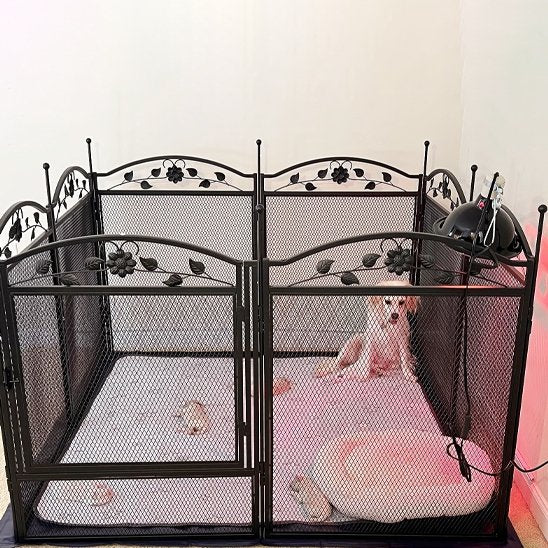 Parc pour chien | Sécurité Pliable - Miss Doggies