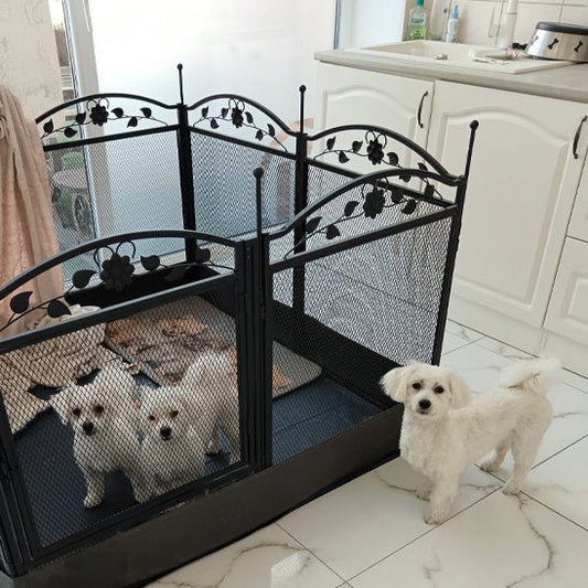 Parc pour chien | Sécurité Pliable - Miss Doggies