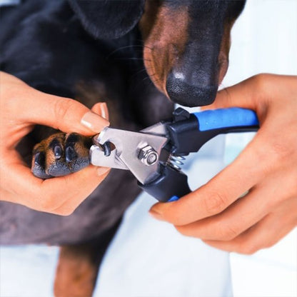 Coupe griffe chien | PrecisionPro