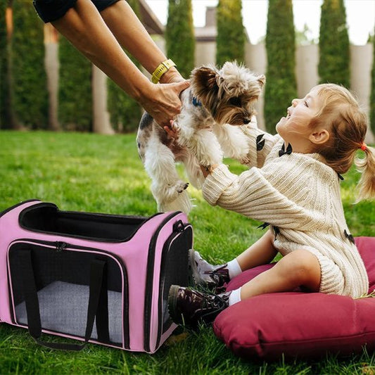 Sac de Transport Chien | Confort Voyage - Miss Doggies