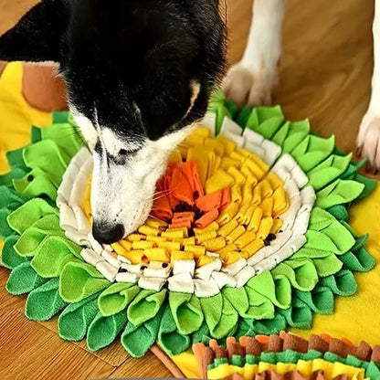 Tapis de fouille chien | Intelligence Canine - Miss Doggies