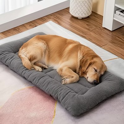 Tapis pour chien | Ultra - confortable lavable - Miss Doggies