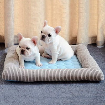 Tapis rafraichissant Chien | CoolComfort - Miss Doggies
