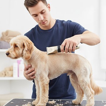 Tondeuse pour chien | SilentPro - Miss Doggies