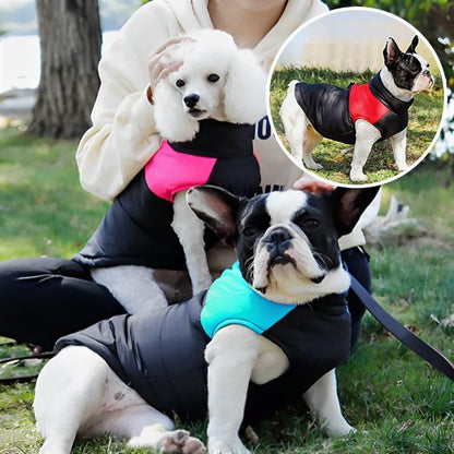 Vetement chien | Confort Élégance - Miss Doggies